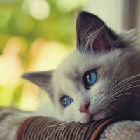 Người chơi Liễu Thùy My đánh giá betvn